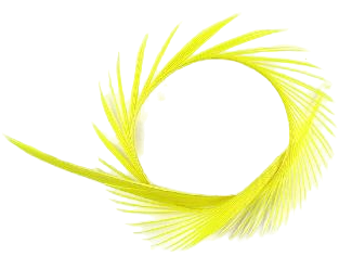 Биот Fly-Fishing Goose Biots 6 UP Yellow