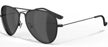Очки поляризационные Leech Eyewear ATW1, Black